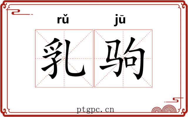 乳驹 乳驹