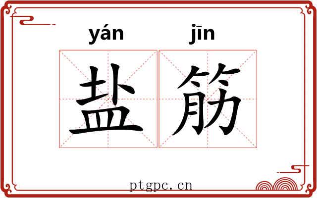 盐筋 盐筋