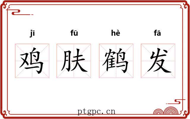 鸡肤鹤发