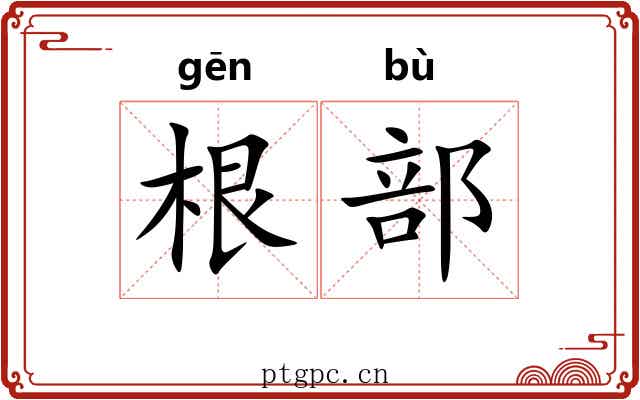 根部