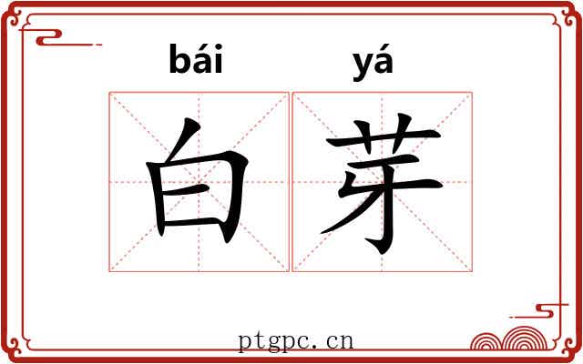 白芽
