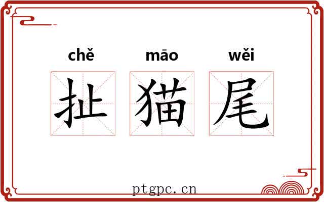 扯猫尾 扯猫尾