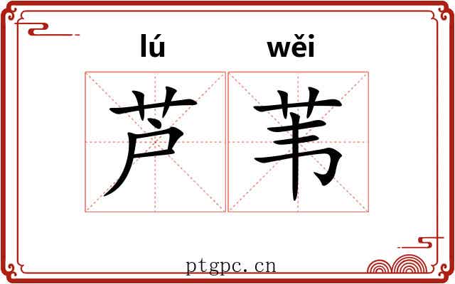 芦苇