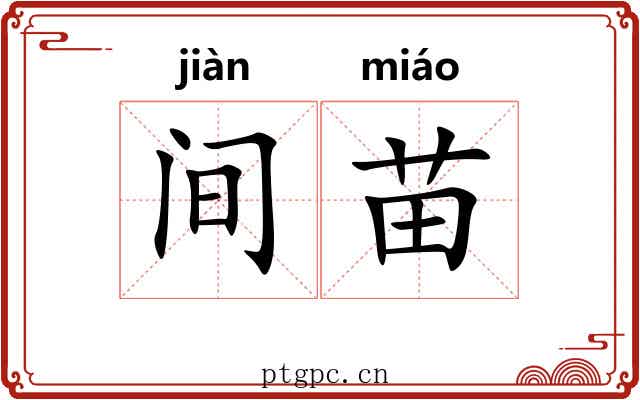 间苗 间苗