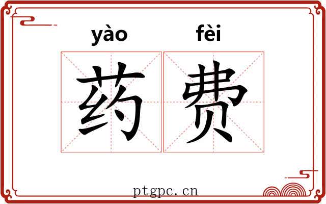 药费