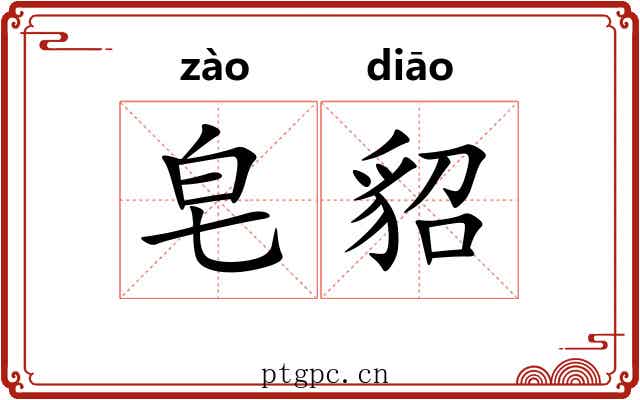 皂貂