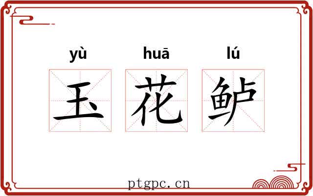 玉花鲈 玉花鲈