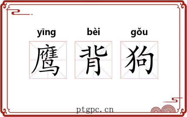 鹰背狗