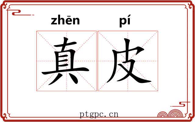 真皮