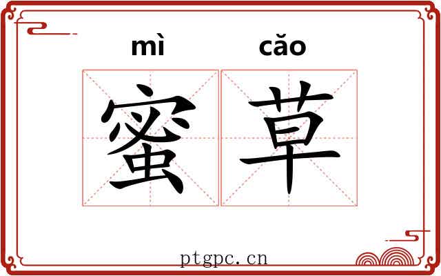 蜜草 蜜草
