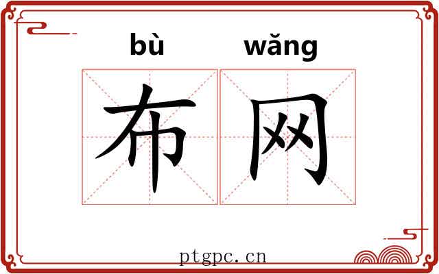 布网 布网