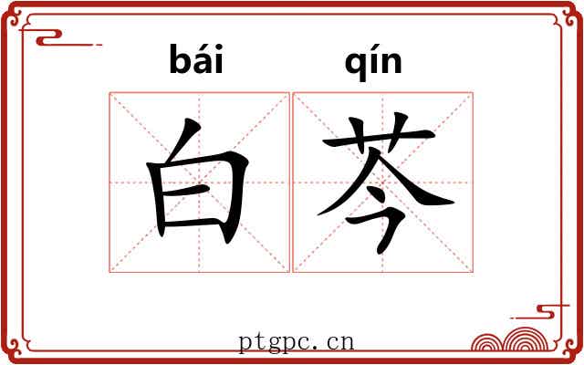 白芩 白芩