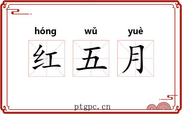 红五月