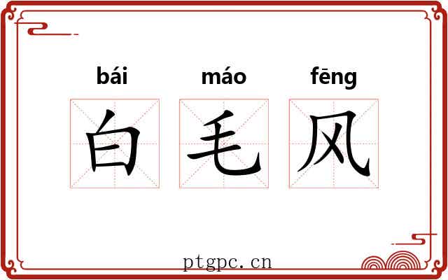 白毛风