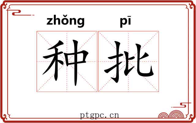 种批