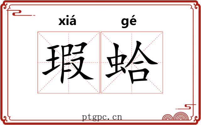 瑕蛤