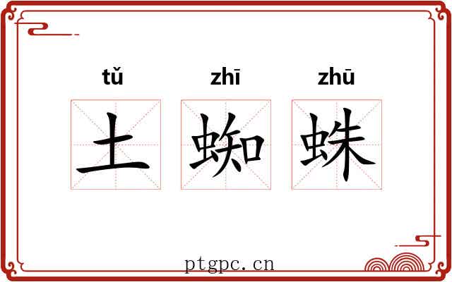 土蜘蛛 土蜘蛛
