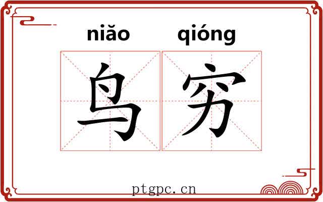 鸟穷
