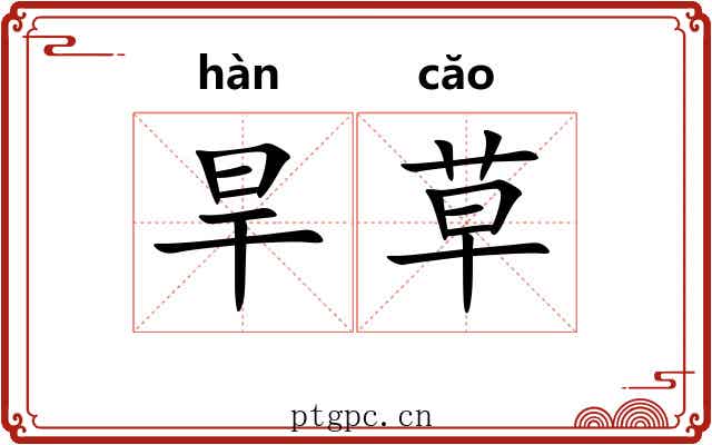 旱草 旱草