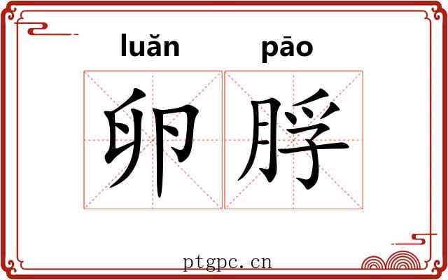卵脬