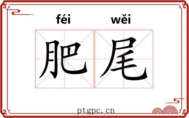 肥尾 肥尾