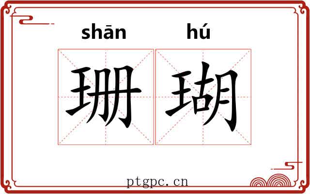 珊瑚 珊瑚