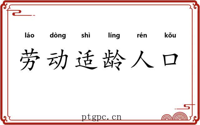 劳动适龄人口 劳动适龄人口