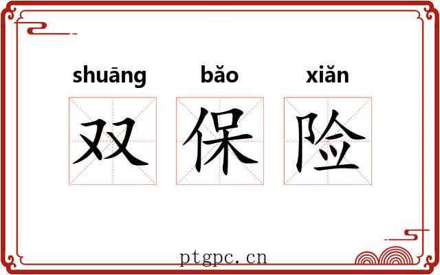 双保险 双保险