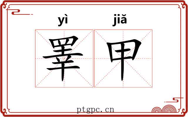 睪甲 睪甲