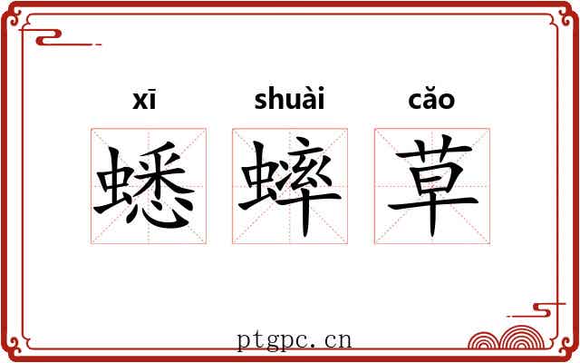蟋蟀草 蟋蟀草