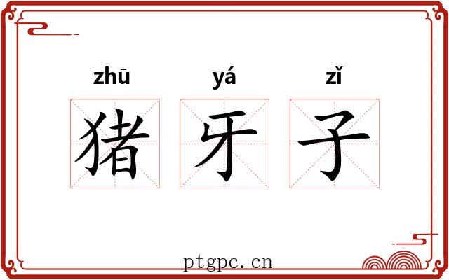 猪牙子