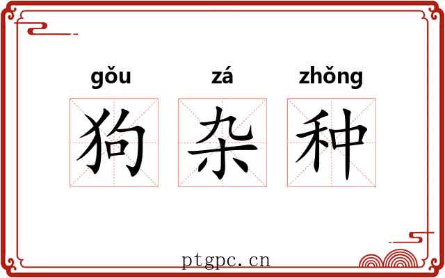 狗杂种 狗杂种