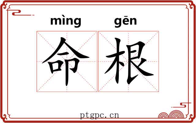 命根