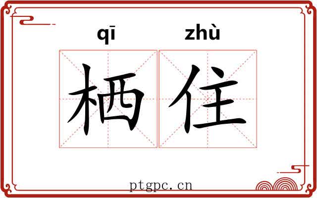 栖住