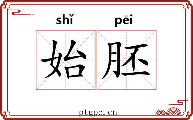 始胚