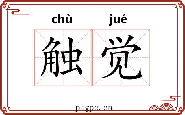触觉