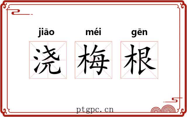 浇梅根 浇梅根