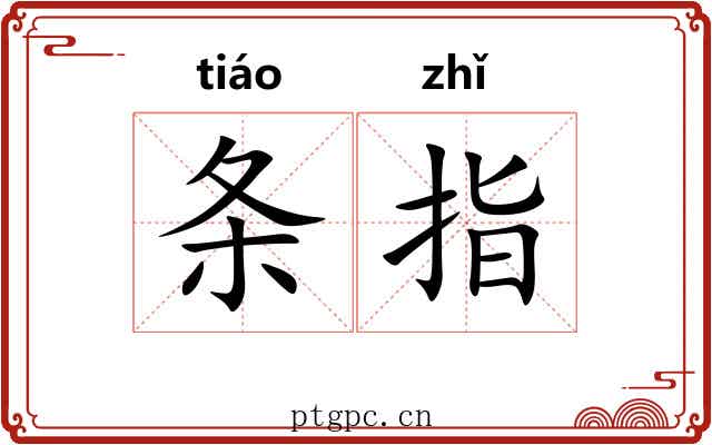 条指 条指