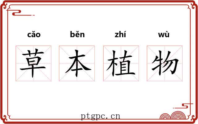草本植物