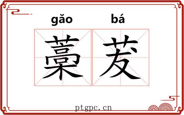 藁茇