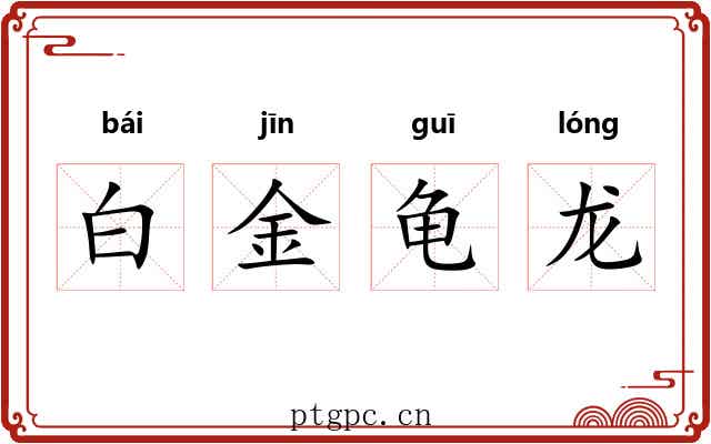 白金龟龙 白金龟龙