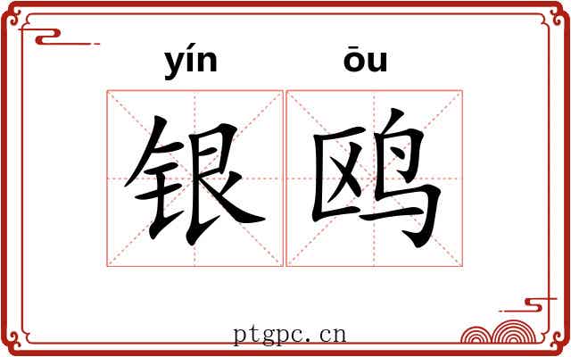 银鸥 银鸥