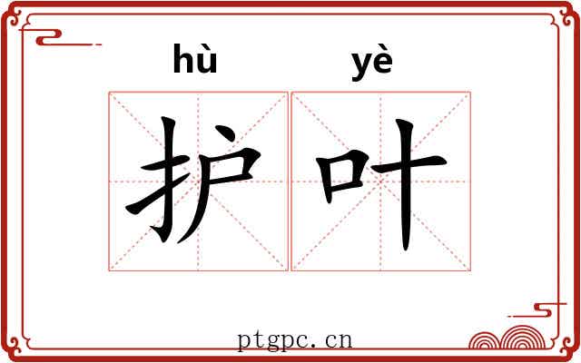 护叶