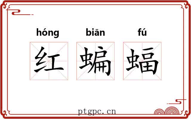 红蝙蝠 红蝙蝠