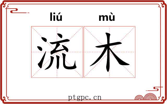 流木 流木