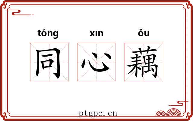 同心藕 同心藕