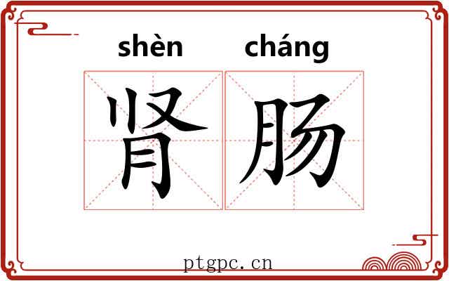 肾肠