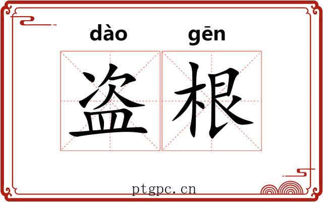 盗根