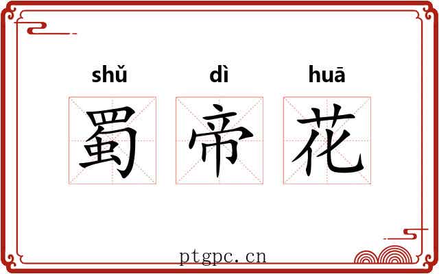 蜀帝花 蜀帝花