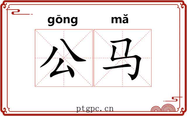 公马 公马